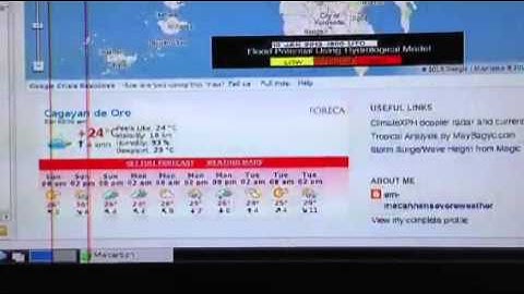 MW Carbon in raspberry pi, midori browser