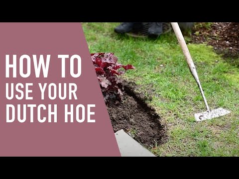 Video: What Is A Dutch Hoe: How To Use A Dutch Hoe In The Garden