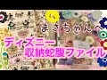 【プレゼント】まさちゃんへディズニー柄の収納蛇腹ファイル【紹介】