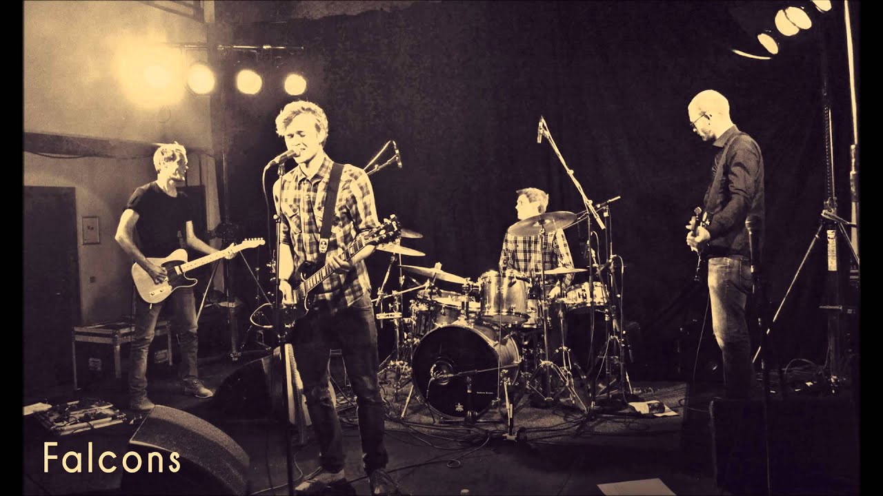 Falcons - My Enemy