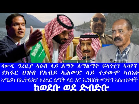 ከወደቡ ወደ ድብድቡ ሳውዲ ዓረቢያ ኣሰብ ላይ ልማት ለማልማት ፍላጎቷን ኣሳየች የአፋር ህዝብ የአብይ ኣሕመድ ላይ ተቃውሞ ኣስነሱ 