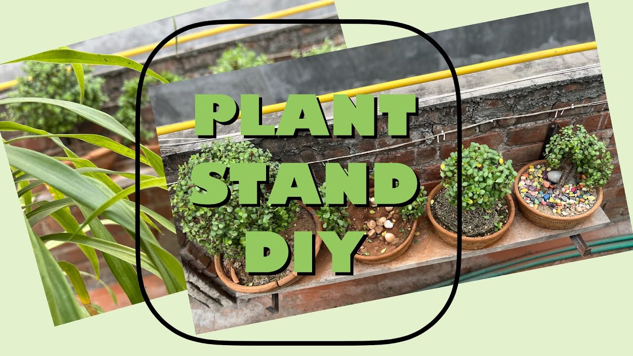 प्लांट स्टैंड diy plant stand unique diy plant stand easy diy