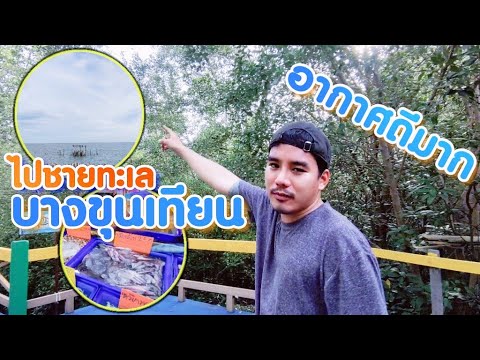 เที่ยวบางขุนเทียนชายทะเล | ชมวิวทะเล”อาหารทะเลสดๆ”(VEGA BOYZ) | สังเคราะห์ข้อมูลเกี่ยวกับร้านอาหาร บางขุนเทียนได้แม่นยำที่สุด