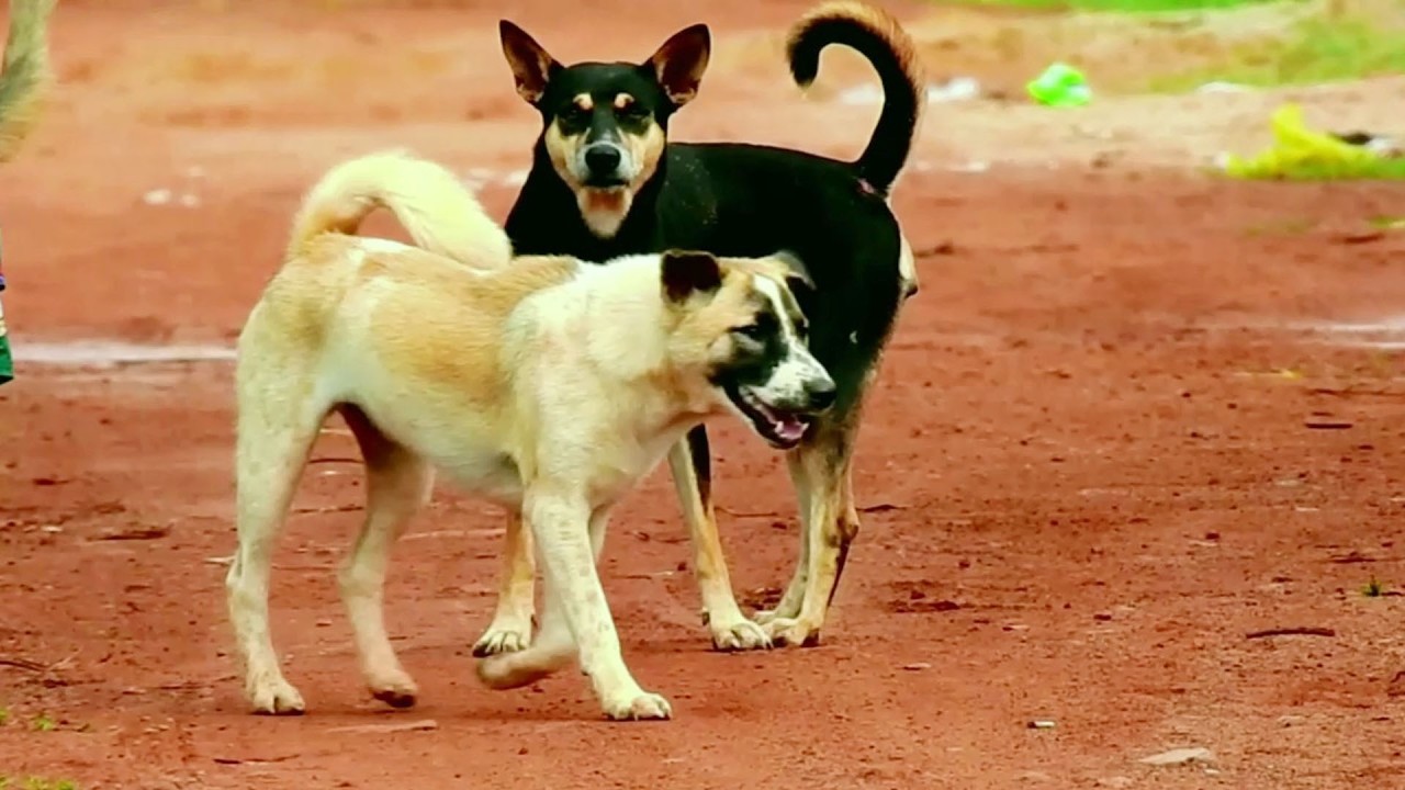 Wow super sweet love this couples good jobs they try to hugs friends