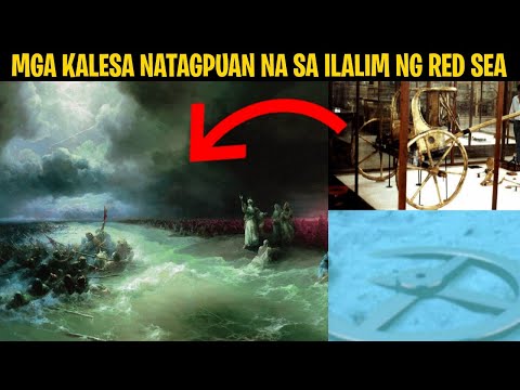 Video: Impormasyon ng Sea Kale - Ano ang Sea Kale At Ang Sea Kale ba ay Nakakain