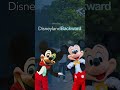 Disneyland Backward | Available 7.15