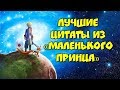 💎Мудрые цитаты из МАЛЕНЬКОГО ПРИНЦА💎