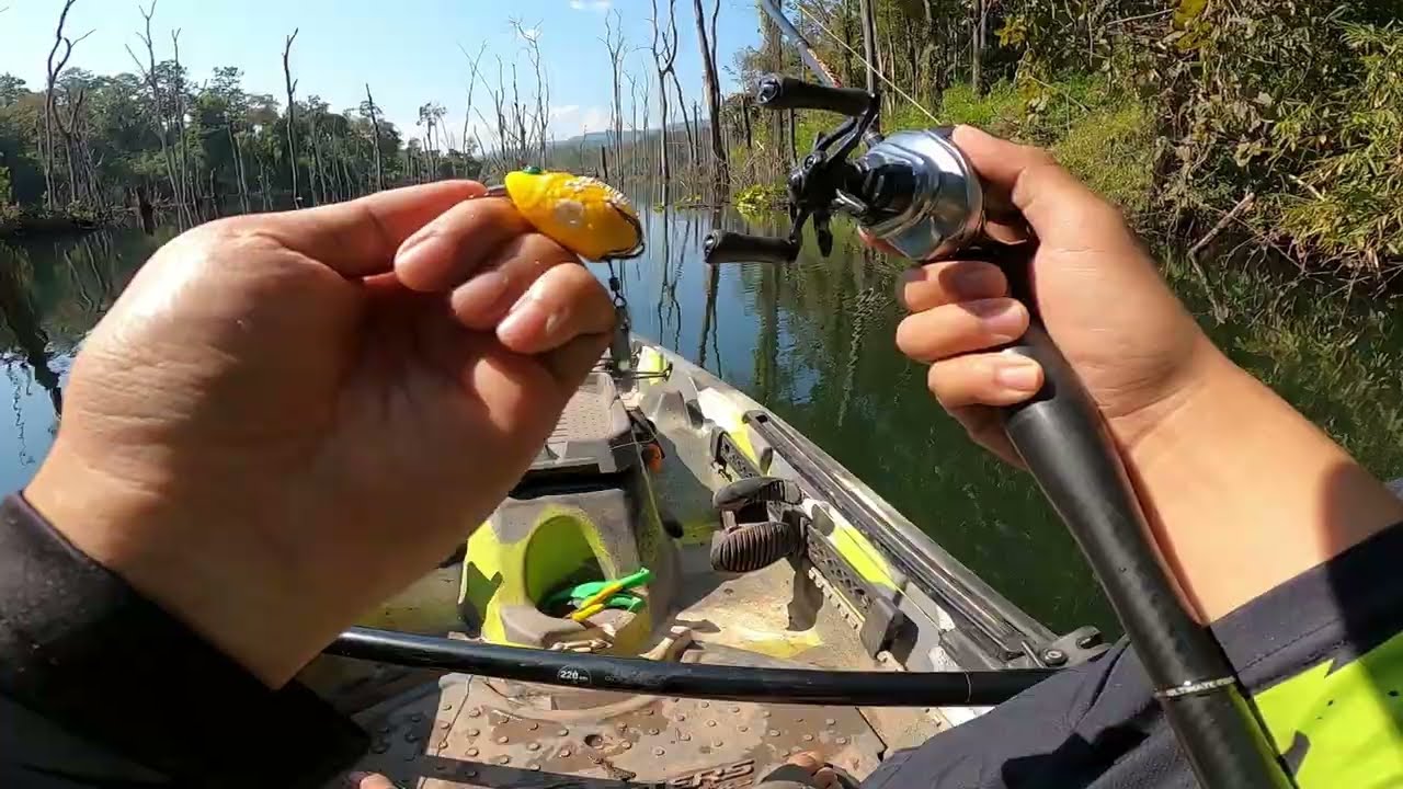 ตกปลาช่อนอ่างเก็บน้ำในป่าด้วยเหยื่อปลอม #fishing #ตกปลา #คันไบสัน 