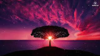 Tha Thứ Thương Thương 2 Minh Tịnh Lan Thi