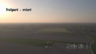 fruitgaard - orchard