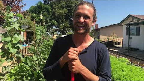 Cultivating Weeds with Farmer Greg Reese