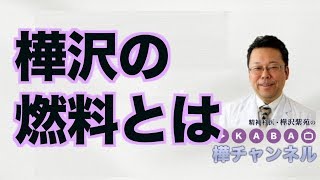 樺沢の燃料とは【精神科医・樺沢紫苑】