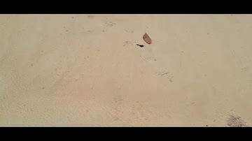 #terdingshort #wbpdcl #nice