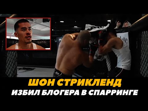 Шон Стрикленд жестко побил популярного блогера Снико в спарринге  FightSpaceMMA