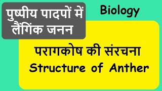 परागकोष की संरचना -  Structure of Anther - Biology