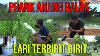 CRAZY PRANK WITH A FIERCE DOG'S SOUND!! IT MAKES YOU RUN AND FALL AHHAHAH SO FUNNY!!
