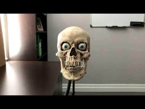 Automatic Talking Skull - No Programming Required!