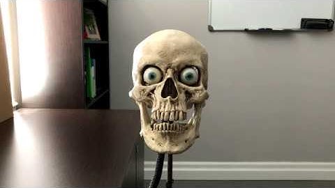 Automatic Talking Skull - No Programming Required!