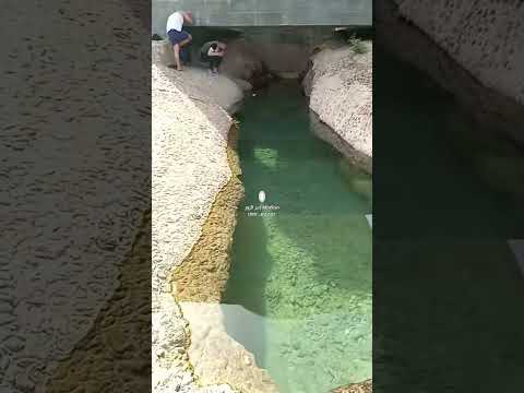 عين علي في مدينة القورية