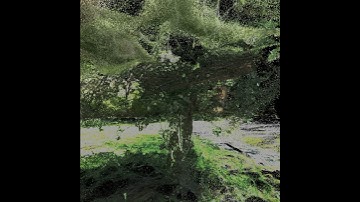 “Rivertree Down” -- #pointcloud #visualart #mograph - 4kp60