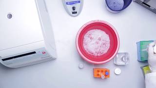 Step by Step How to Run a QuantiGene SinglePlex Assay Net Worth
