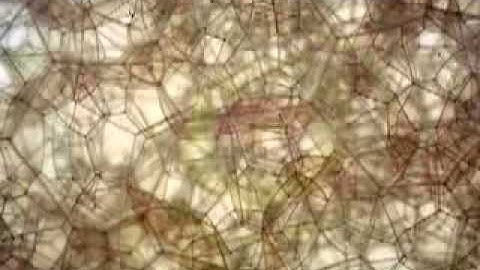 Modeling grain growth with soap bubbles