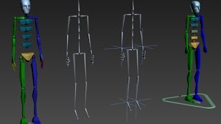 Autodesk 3ds Max Biped Bone CATrig Introduction Autodesk 3ds Max Biped Bone CATrig Introduction