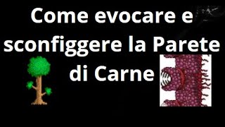 Come Evocare E Sconfiggere La Parete Di Carne In Terraria Guida Completa