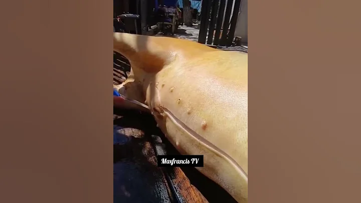 what kind of a dream is this #funny #bestcomedyskit #comedy #comedymove #comedyskits #comedyfilm