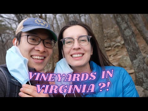 Exploring Wine Country in Northern Virginia | Day Trip to Leesburg, VA!!