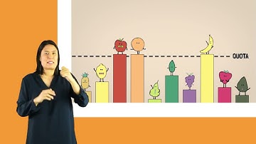 Voting under STV - with NZSL interpreter