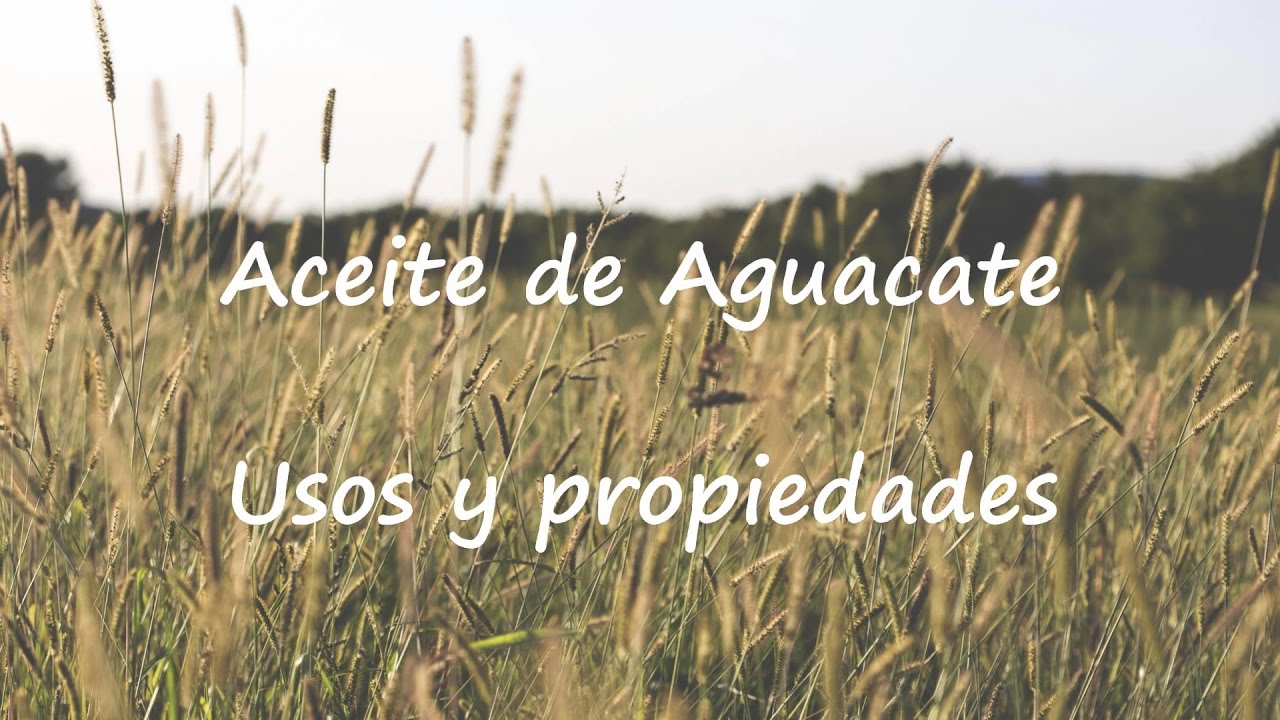Aguacate propiedades de las capsulas de