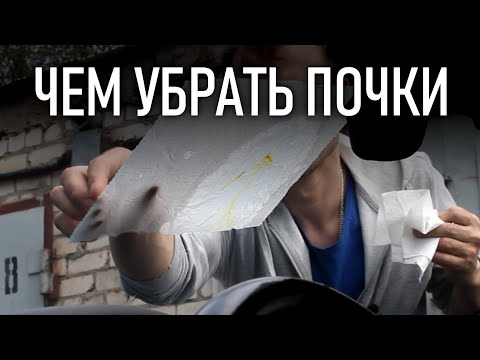 Как отмыть и чем убрать ТОПОЛИНЫЕ почки с кузова машины | Бонусы под видео