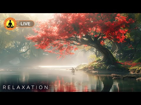 🔴 Relaxing Music 24/7, Healing Music, Meditation Music, Spa Music, Sleep, Zen, Study Music, Nature