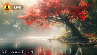 🔴 Relaxing Music 24/7, Healing Music, Meditation Music, Spa Music, Sleep, Zen, Study Music, Nature screenshot 4