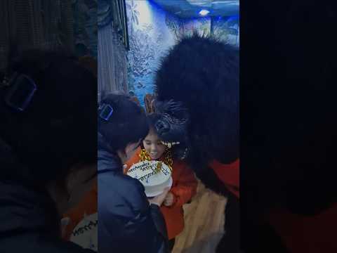 Поздравили юного боксера, чуть нам не перепало 🤩. #shorts