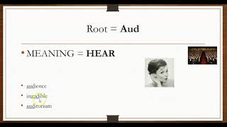 Greek and Latin Roots Lesson #1