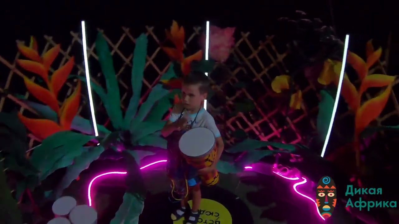 Дикая Африка