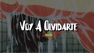 Thumbnail for Reik - Voy A Olvidarte (Letra)