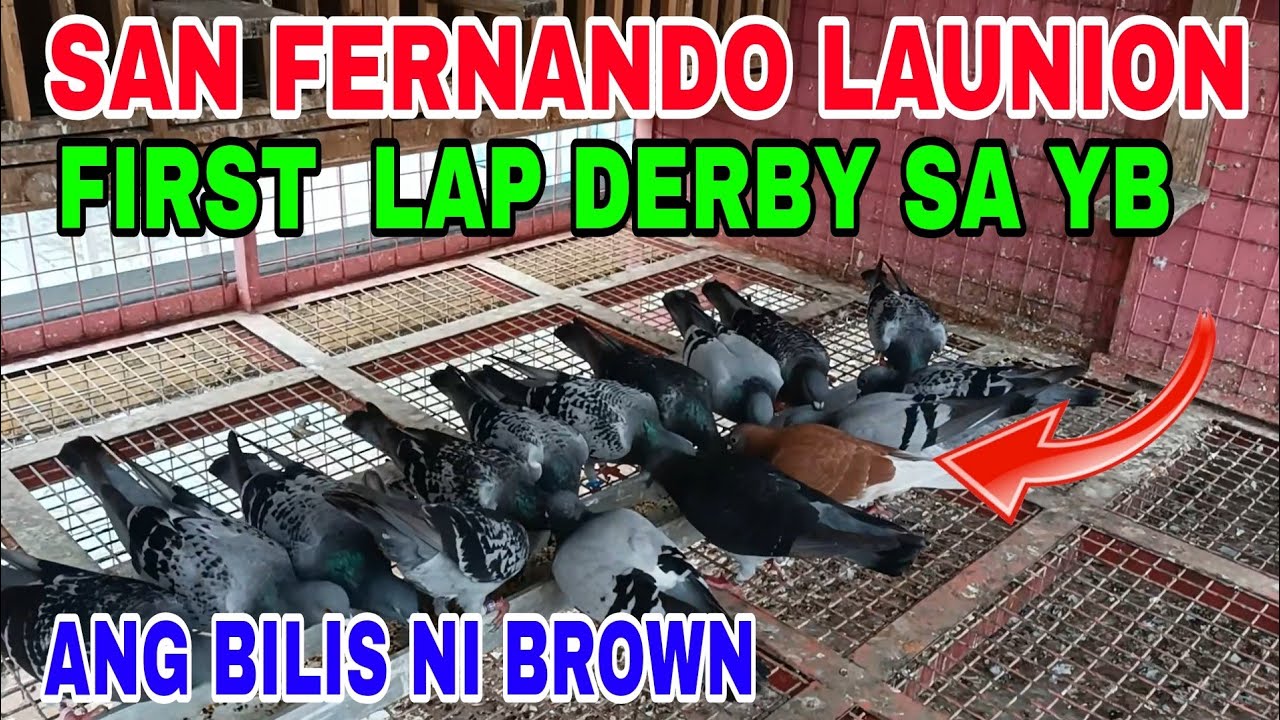 SAN FERNANDO LAUNION 1ST LAP DERBY SA PUF / FUNRACE 1ST LAP SA BBC #benchsison #longhairtv