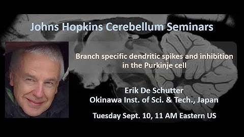 Erik De Schutter: Purkinje cell dendritic spikes