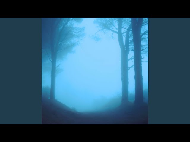 nuts ambient (Instrumental)