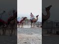 البواطن سلطنة عمان لاتنسوا الاشتراك في القناة وتفعيل الجرس