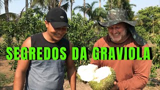 Segredos da produção de Graviola com o Sr. Jaime Werlang