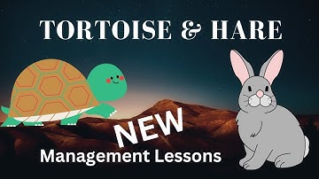 Rabbit & Tortoise Management lessons II Rabbit and tortoise new stories II