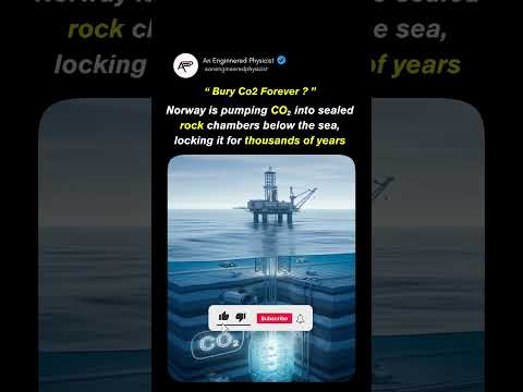 Bury Co2 Forever ? #shorts #viralvideo #science