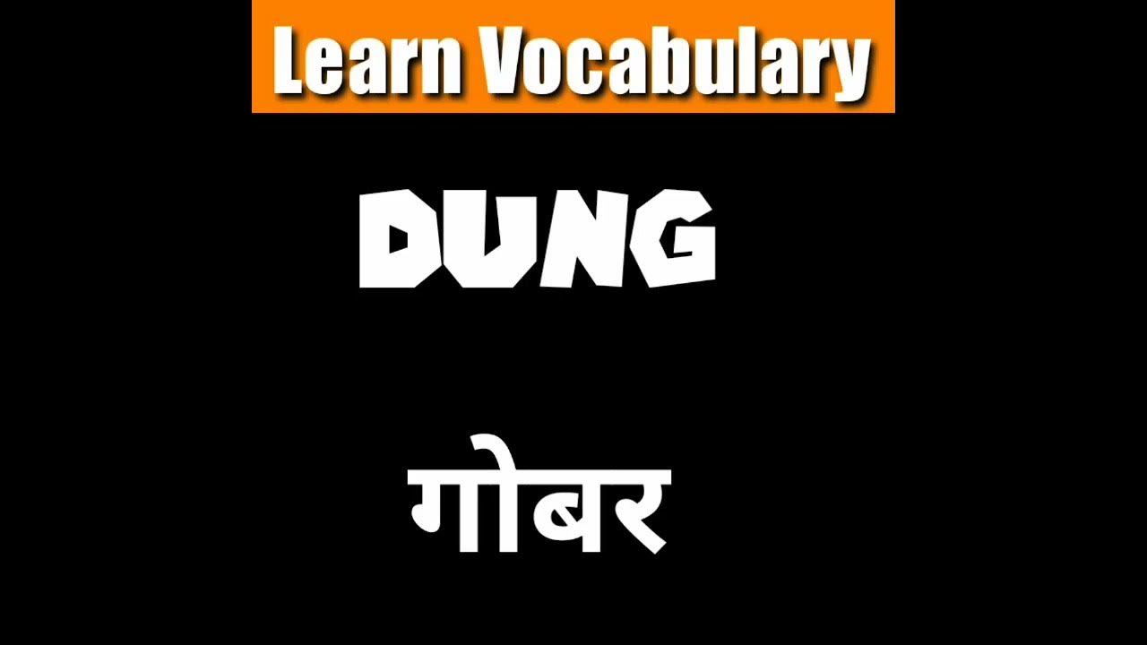 dung-meaning-in-hindi-shorts-youtube