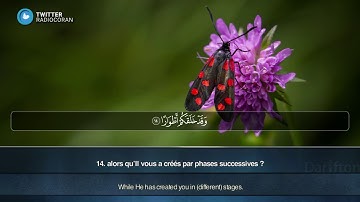 Sourate Nuh - Muhammad Mokla  سورة نوح محمد مقلة