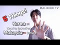 Things that Korea need to learn from Malaysia culture / 한국이 말레이시아 문화로부터 배울점?! / Cultural experience.