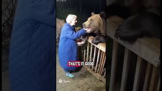 BEARS ARE DANGEROUS OR NOT!#bears #bear